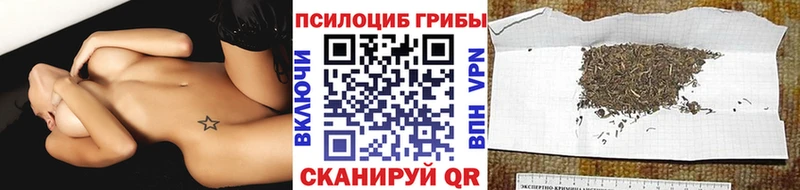 Галлюциногенные грибы мицелий  закладка  Чулым 